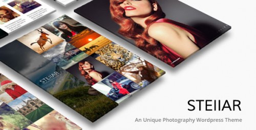 Download Nulled Stellar Theme v1.6 - Creative Photography Responsive product snapshot