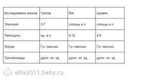 Расшифровка мазка на флору - Здоровье родителей - на бэби.ру