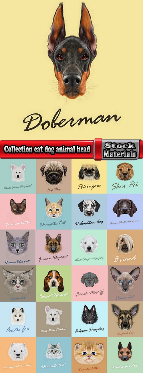 Collection cat dog animal head 25 EPS