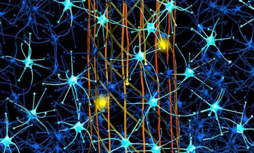 Электроны в нервных тканях