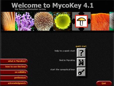 MycoKey 4.1