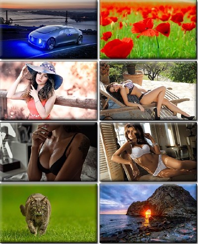 LIFEstyle News MiXture Images. Wallpapers Part (1063)