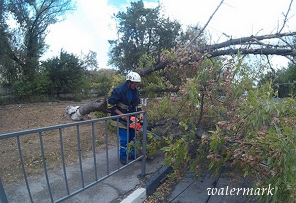 В Крыму ураганным ветром валило деревья, ливнем затопило дома [фото]