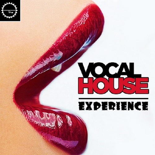 Vocal House Experience Voyage (2016)