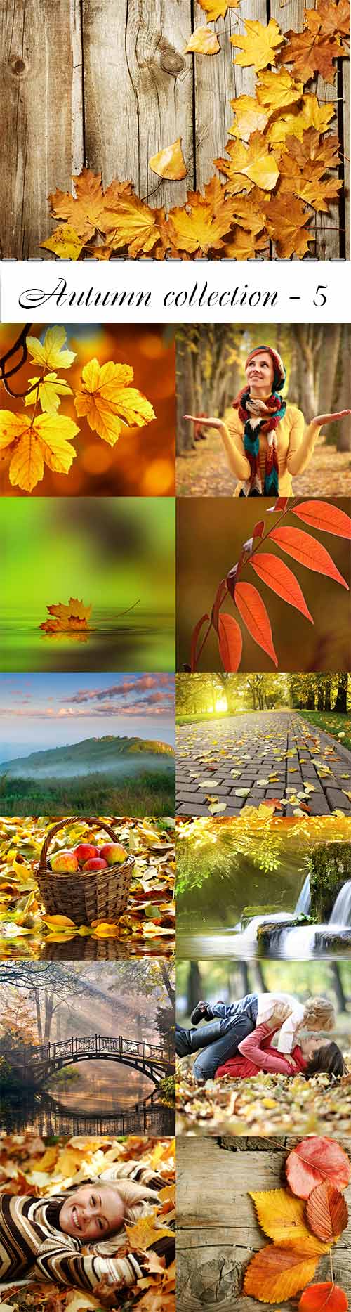 Autumn collection raster graphics - 5