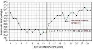 Базальная температура при беременности до задержки, график БТ ...