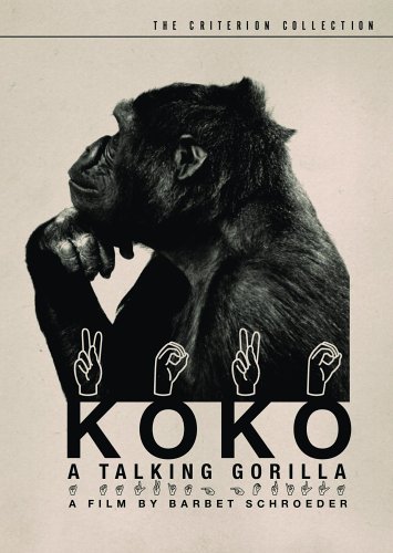 Коко. Горилла, говорящая с людьми / Koko: The Gorilla Who Talks to People (2016) WEBRip (720p)