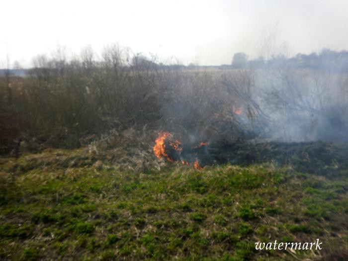Учора в чотирьох селах Полтавщини небезпечно горіла суха трава