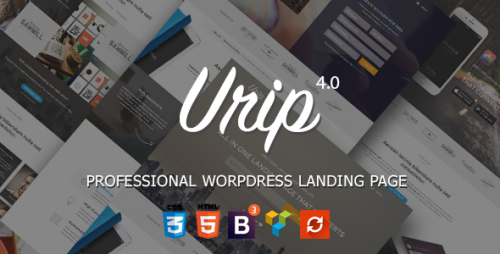 Download Nulled Urip v7.4.9 - Professional WordPress Landing Page visual