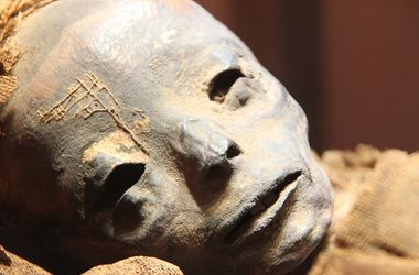 Ученые нашли в мумии смертельный вирус