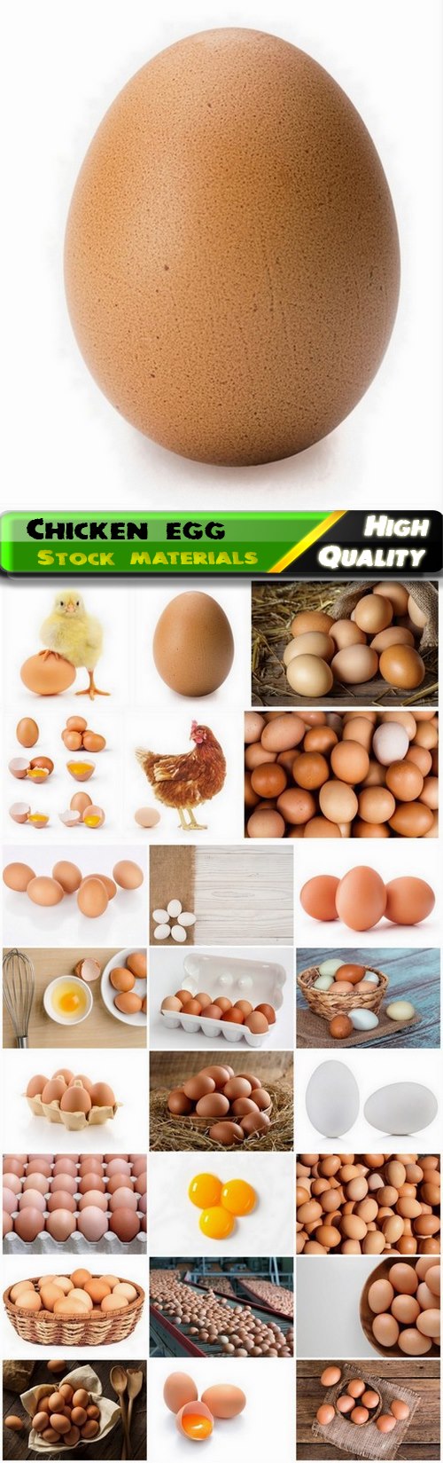 Chicken white and brown egg with yolk 25 HQ Jpg