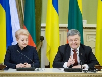 Даля Грибаускайте: "Мы будем пытаться помочь Украине в поиске решения для получения безвизового режима"