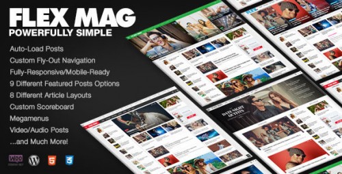 Flex Mag v1.12 - Responsive WordPress News Theme product pic