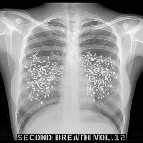 Second Breath - Unknown Bands Vol.12 (2016)