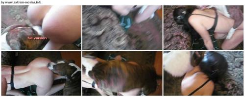 72568b35d41480259d64df002f3a1a26 - Bestiality Animal Porn Videos - Free Download ZooSex